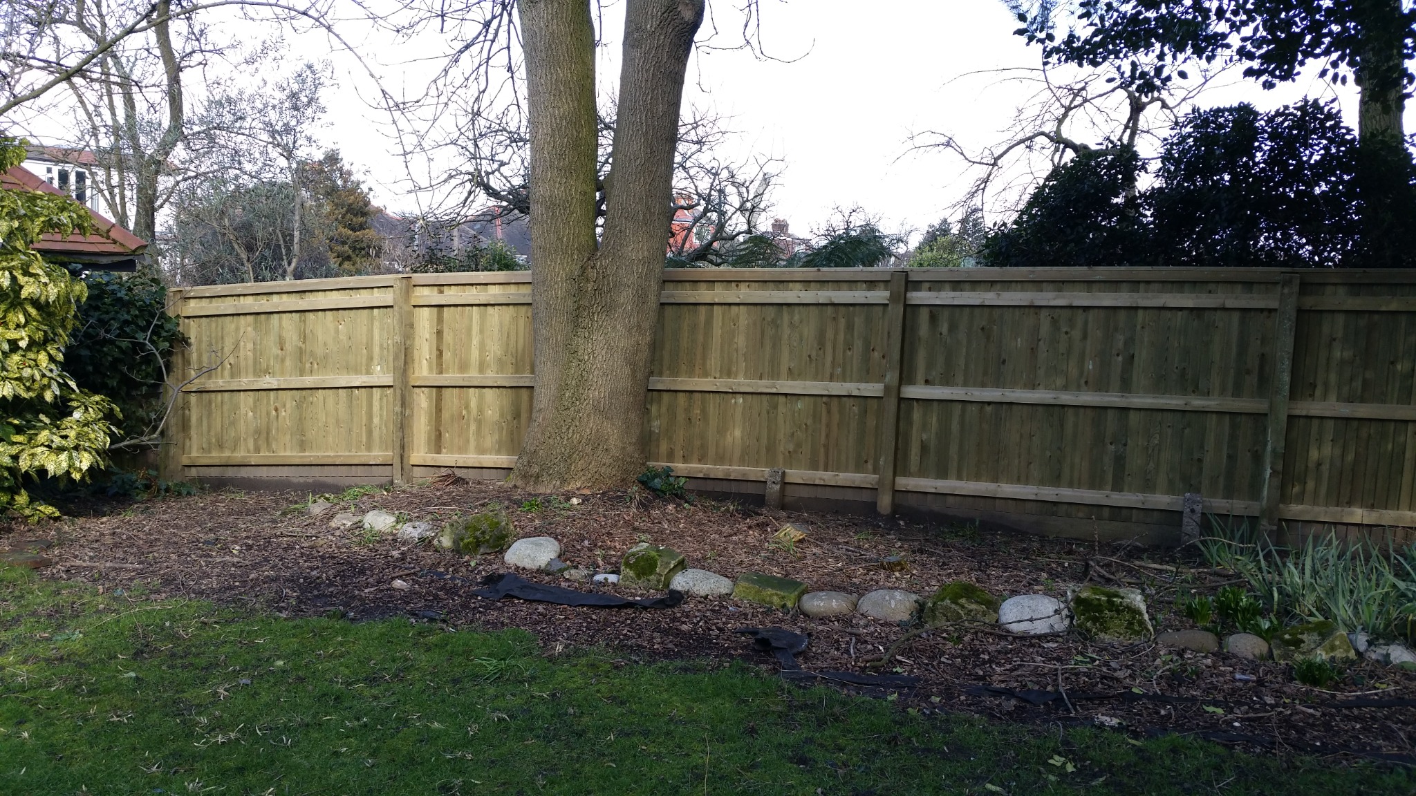 The rail side of timber fencing along an established garden.