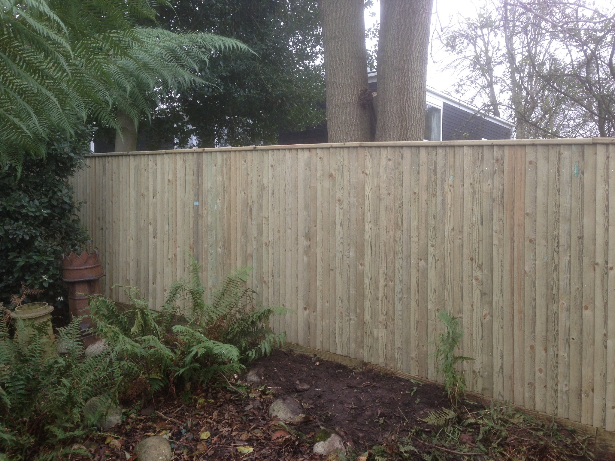 Timber boards forming a boundary beside mature trees and planting.